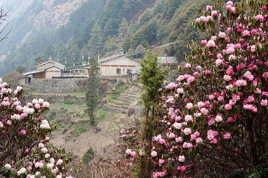 Tsum Valley Manaslu Larkya Pass Trek