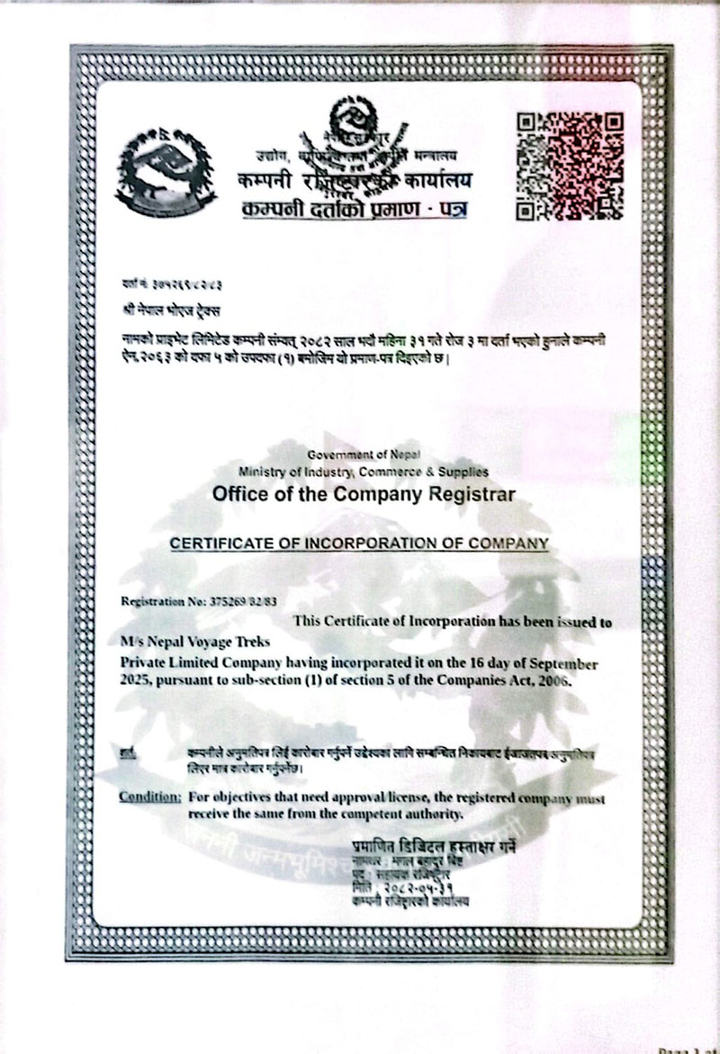 Company Registration